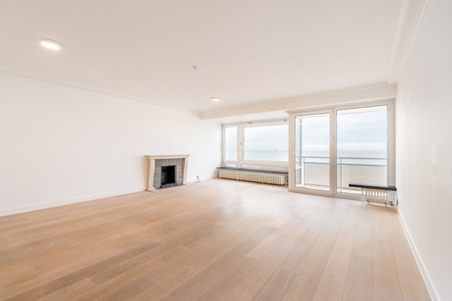Ruim appartement met frontaal zeezicht  - Albertplein 